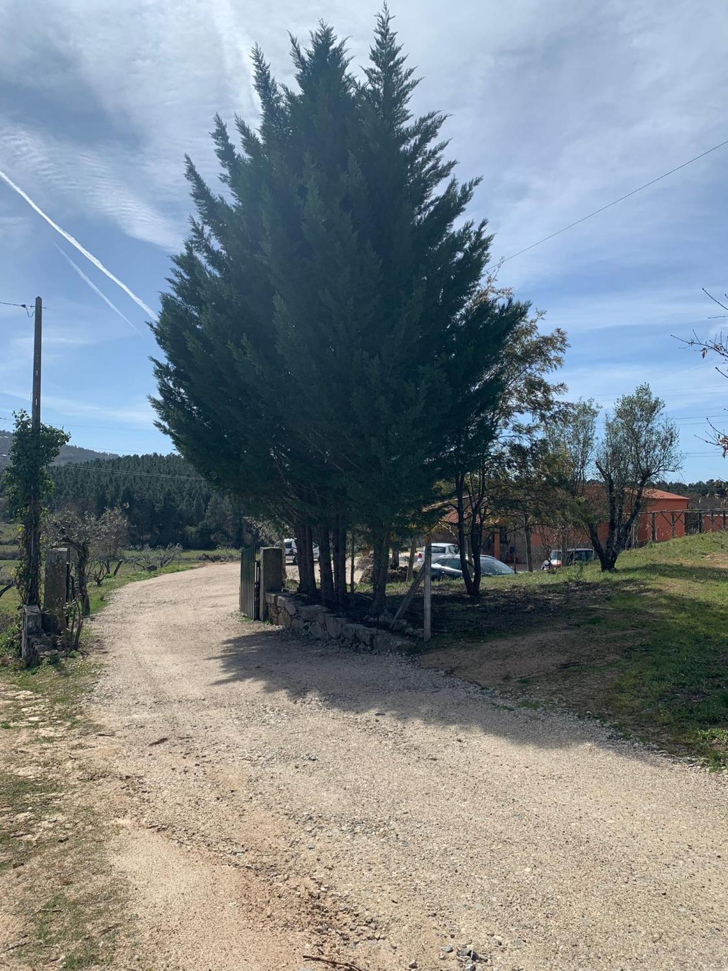 Quinta Dos Cedros L Turismo Rural Covilhã Esterno foto