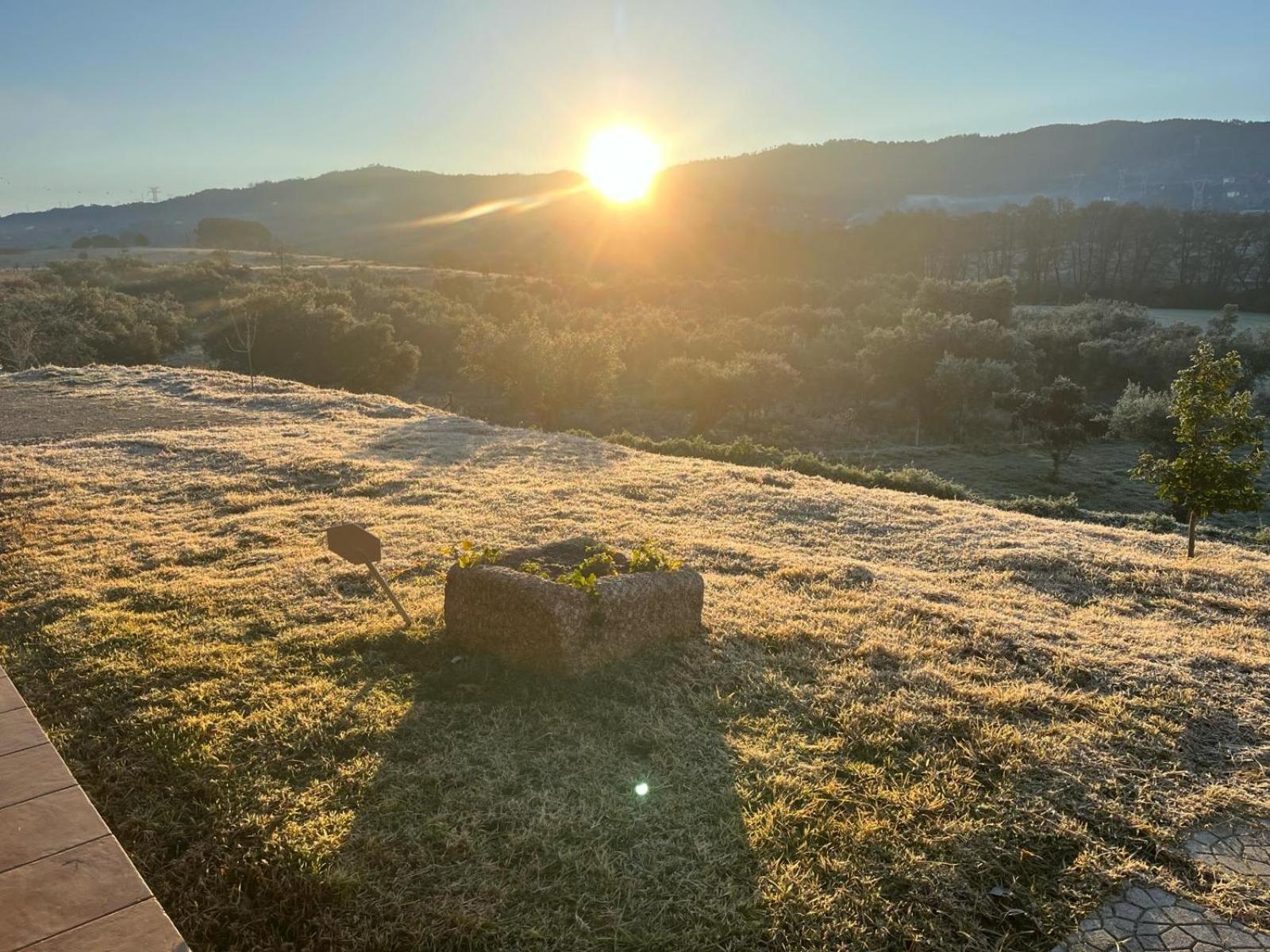 Quinta Dos Cedros L Turismo Rural Covilhã Esterno foto